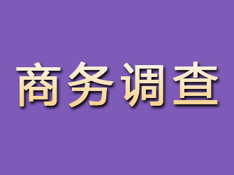 黟县商务调查